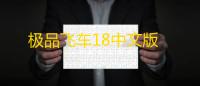 极品飞车18中文版